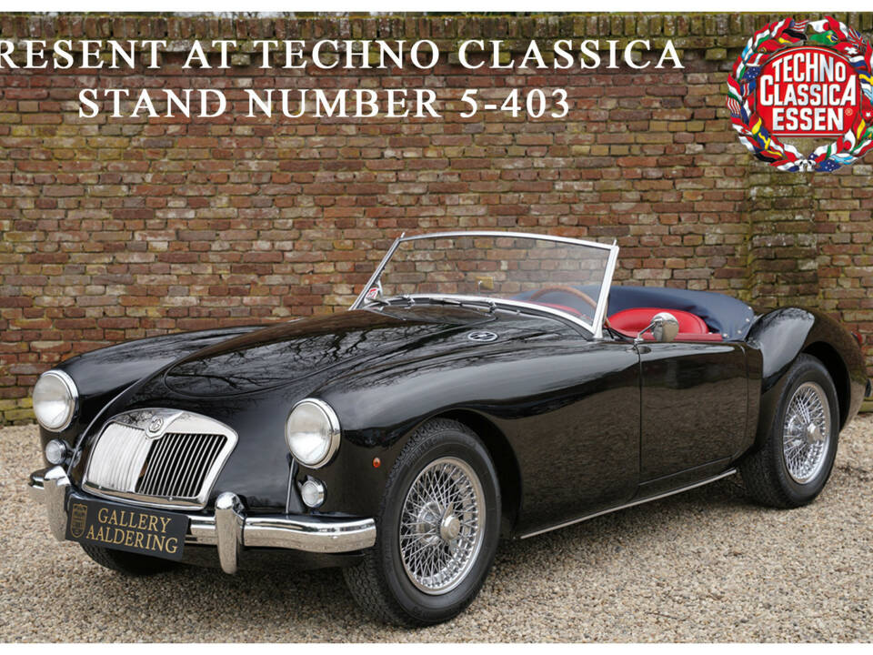 Bild 1/50 von MG MGA 1500 (1956)