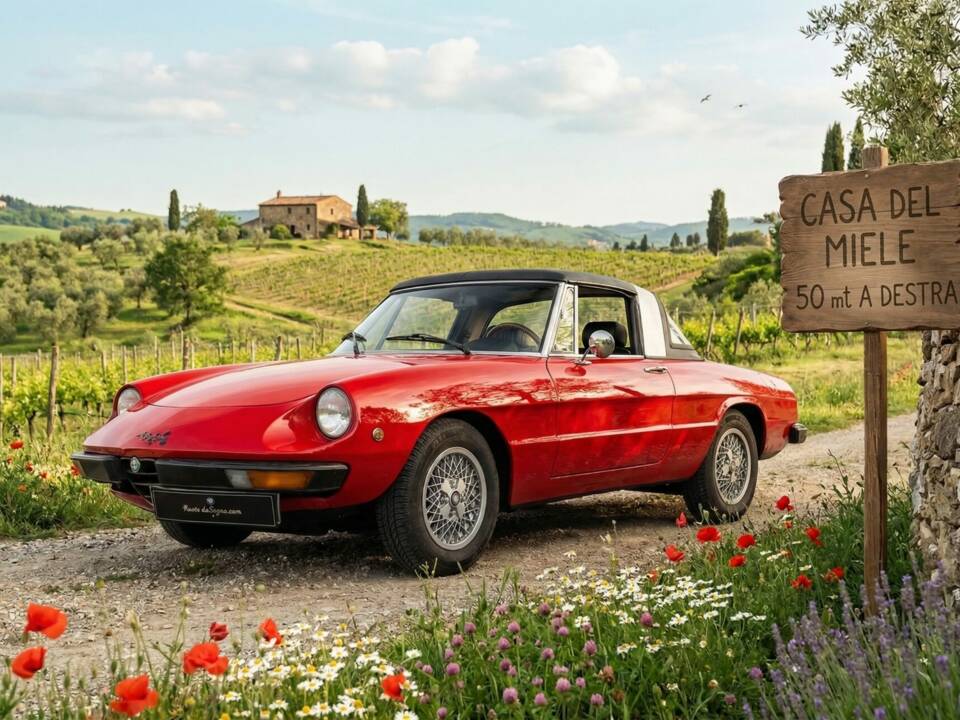 Immagine 1/50 di Alfa Romeo 1600 Spider (1972)