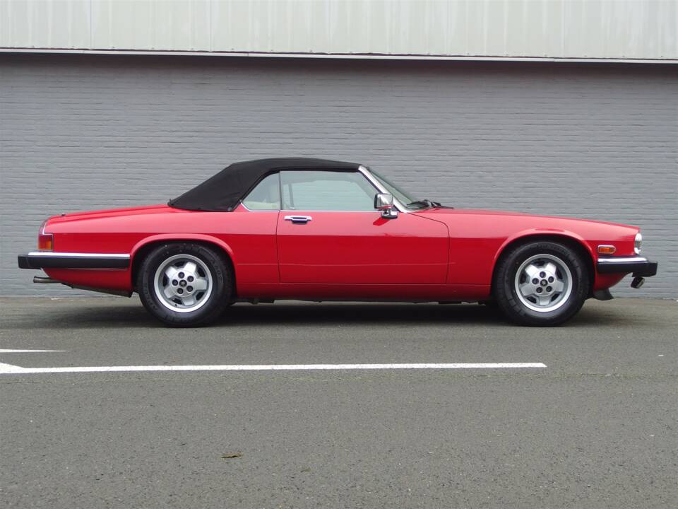 Image 5/99 de Jaguar XJS 5.3 V12 (1990)