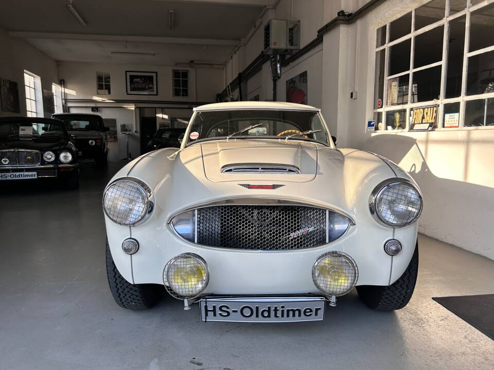 Afbeelding 13/28 van Austin-Healey 3000 Mk I (BN7) (1960)