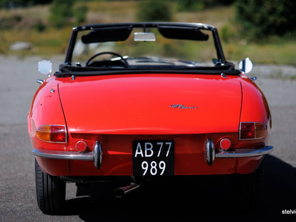 Afbeelding 13/37 van Alfa Romeo 1600 Spider Duetto (1966)