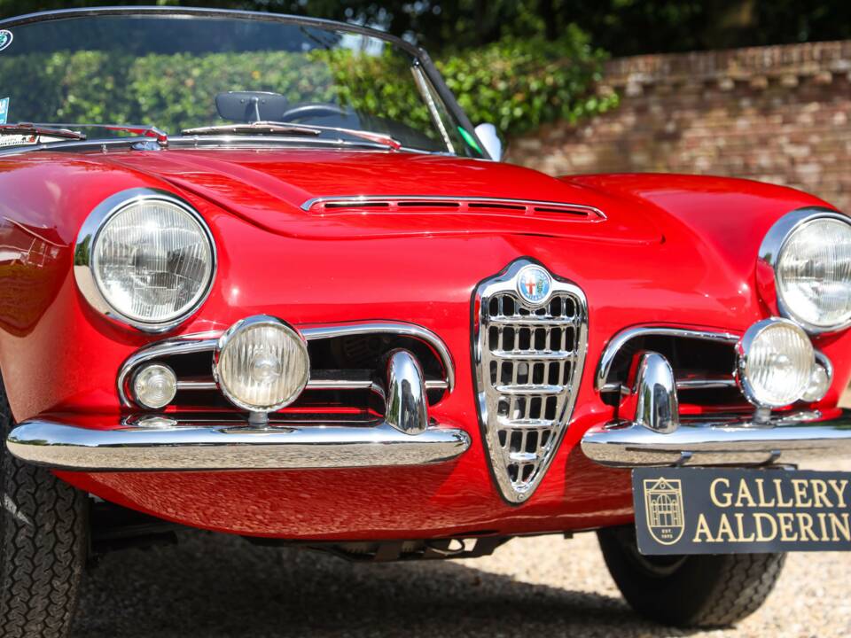 Bild 40/50 von Alfa Romeo Giulia 1600 Spider Veloce (1965)