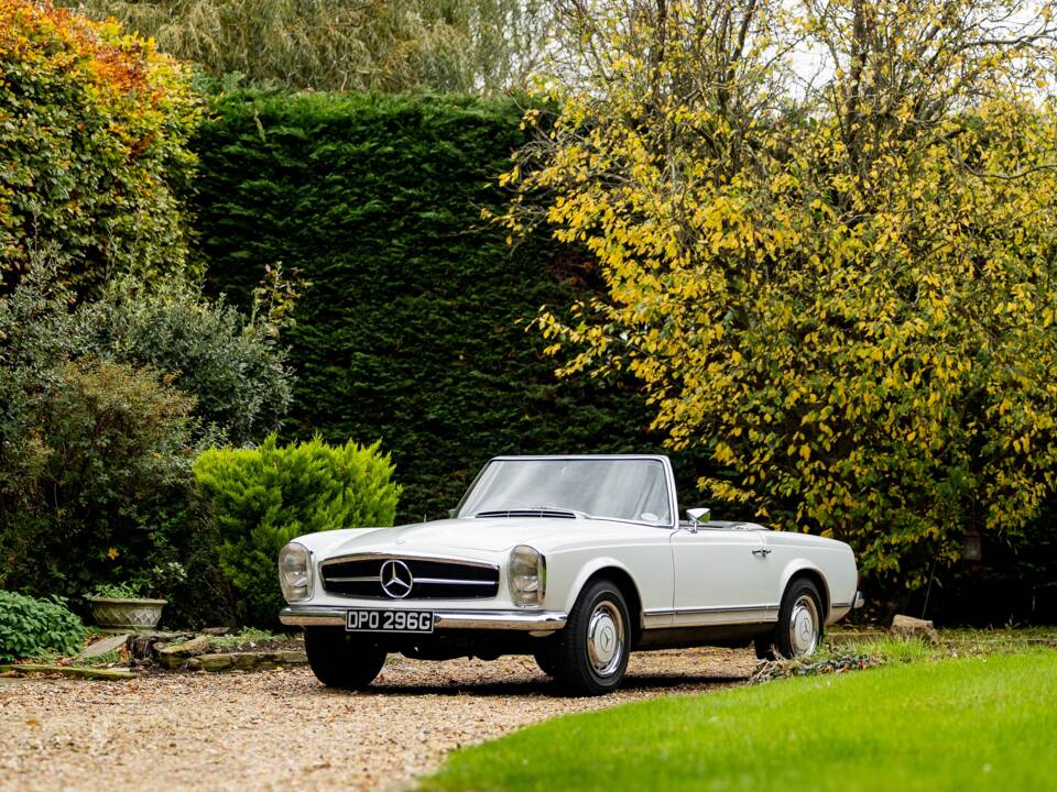 Image 15/50 of Mercedes-Benz 280 SL (1968)