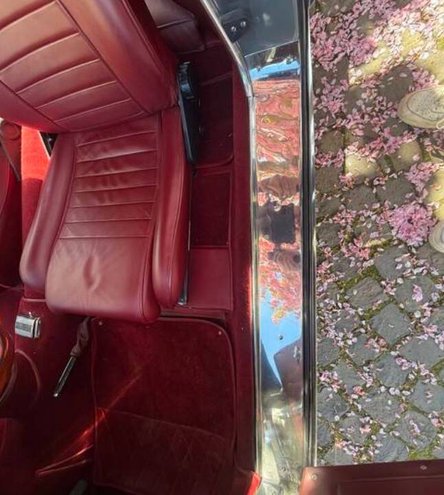 Bild 62/98 von Alfa Romeo 2000 Spider (1960)