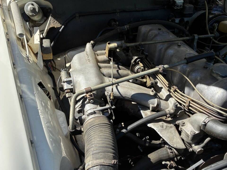 Image 14/19 of Mercedes-Benz 250 SE (1965)