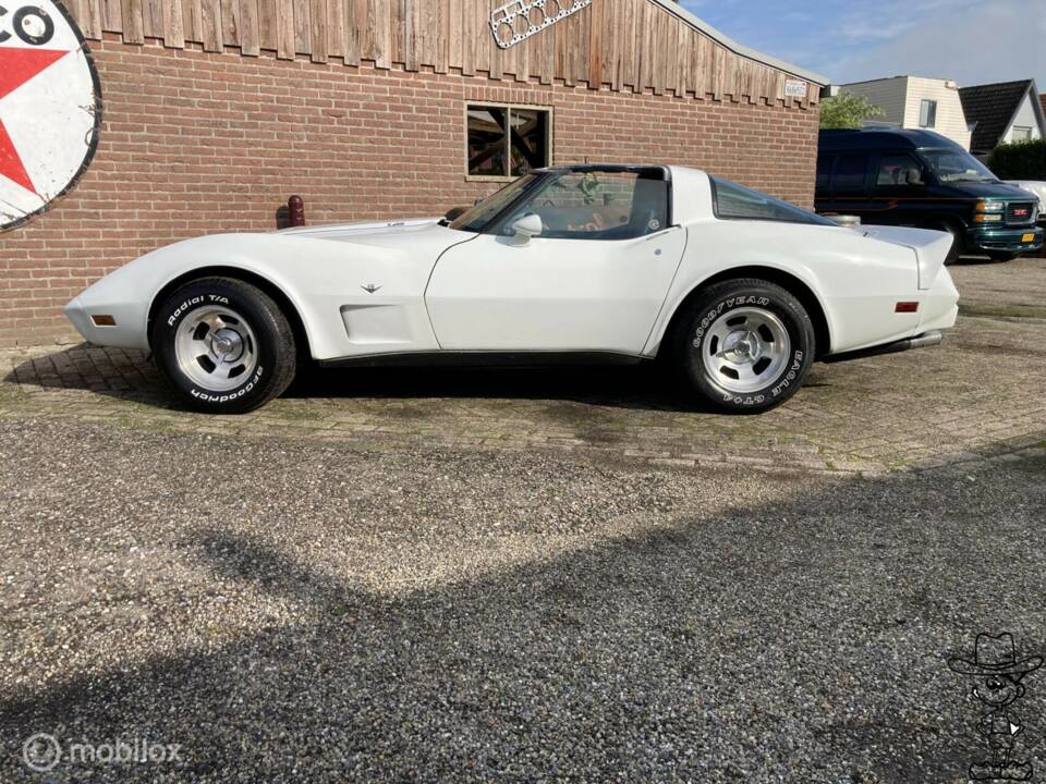 Afbeelding 6/50 van Chevrolet Corvette Sting Ray (1979)