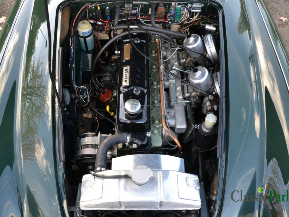 Bild 14/50 von Austin-Healey 3000 Mk III (BJ8) (1967)
