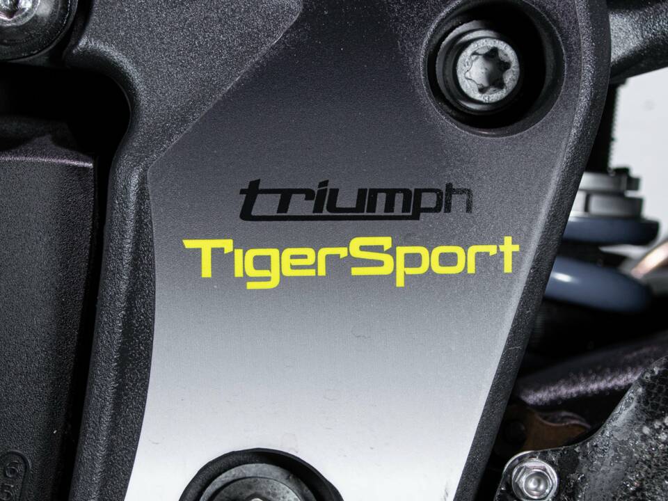 Bild 26/50 von Triumph DUMMY (2008)