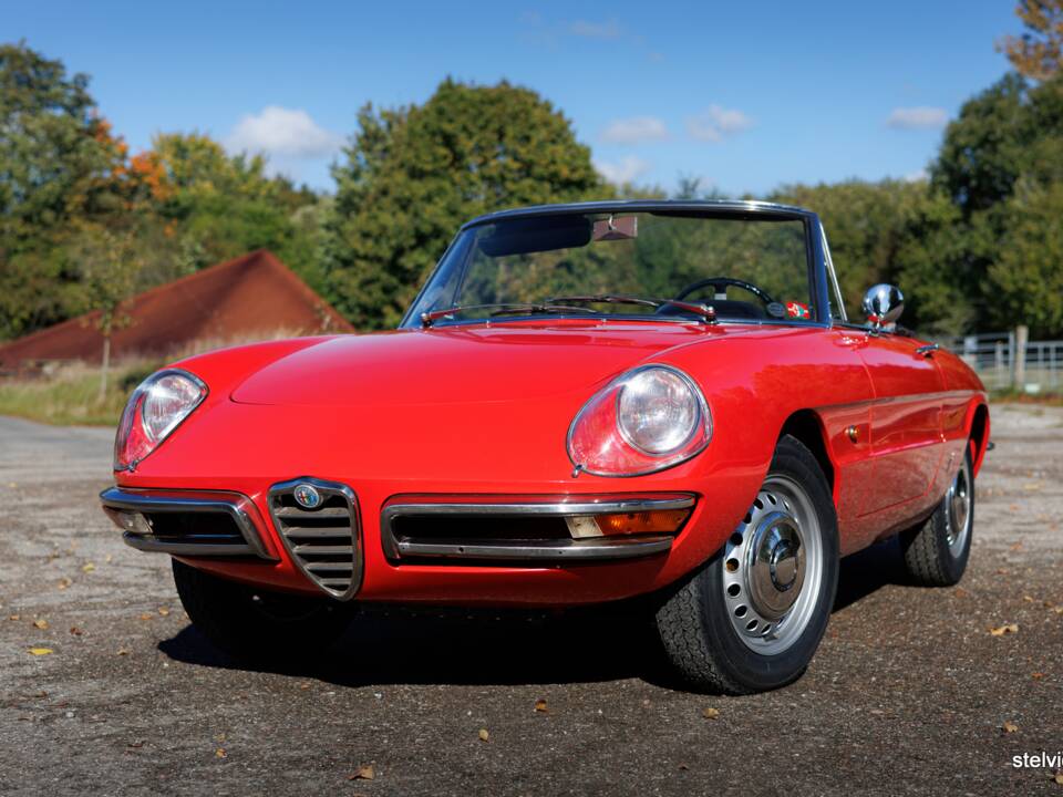 Afbeelding 1/50 van Alfa Romeo 1600 Spider Duetto (1967)