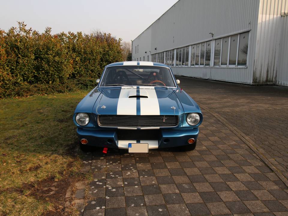 Bild 2/14 von Ford Shelby GT 350 (1966)