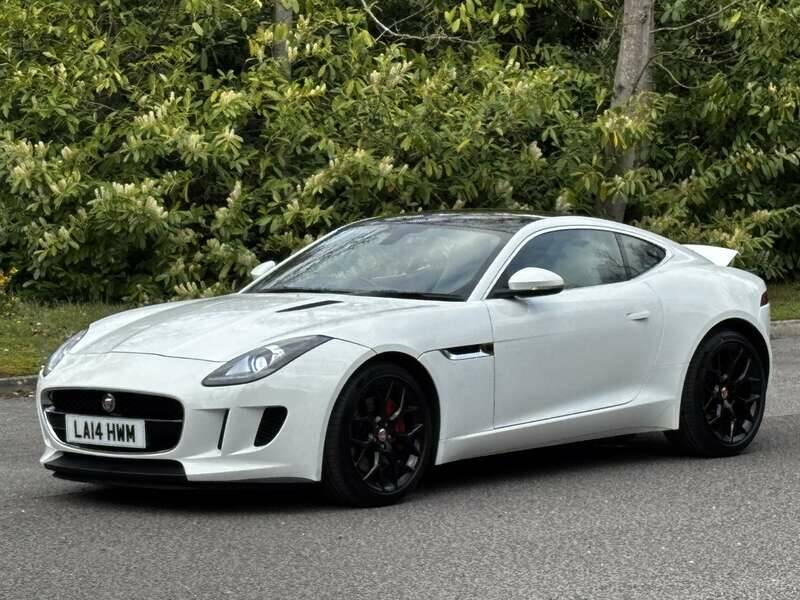 Image 20/50 of Jaguar F-Type (2014)