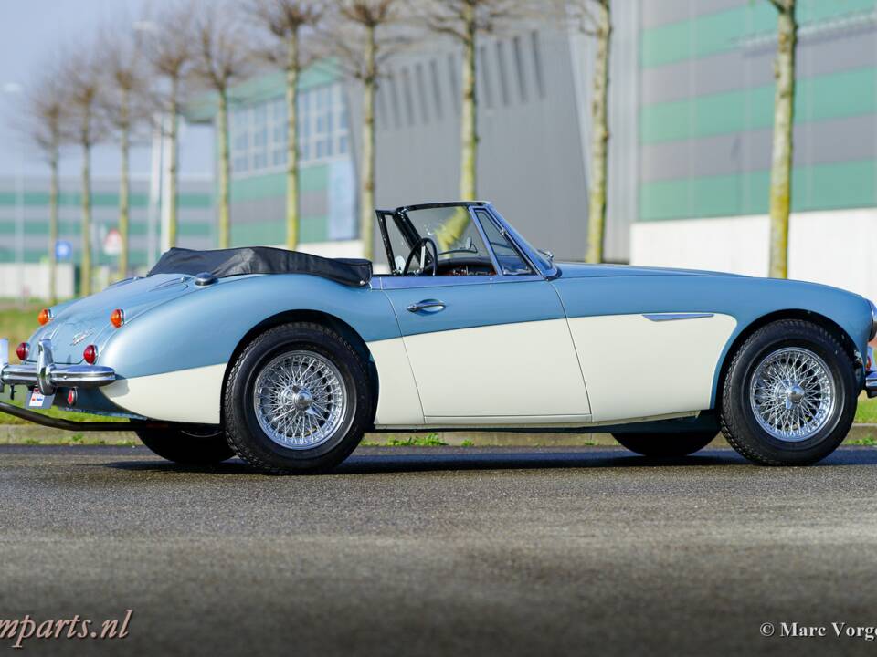 Imagen 9/20 de Austin-Healey 3000 Mk III (BJ8) (1966)