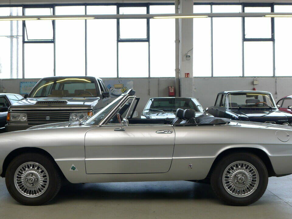 Bild 1/32 von Alfa Romeo 2000 Spider Veloce (1981)