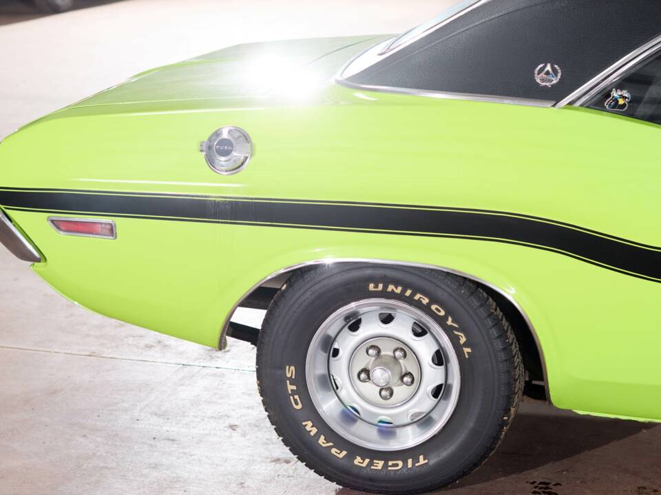 Immagine 70/71 di Dodge Challenger R/T (1970)
