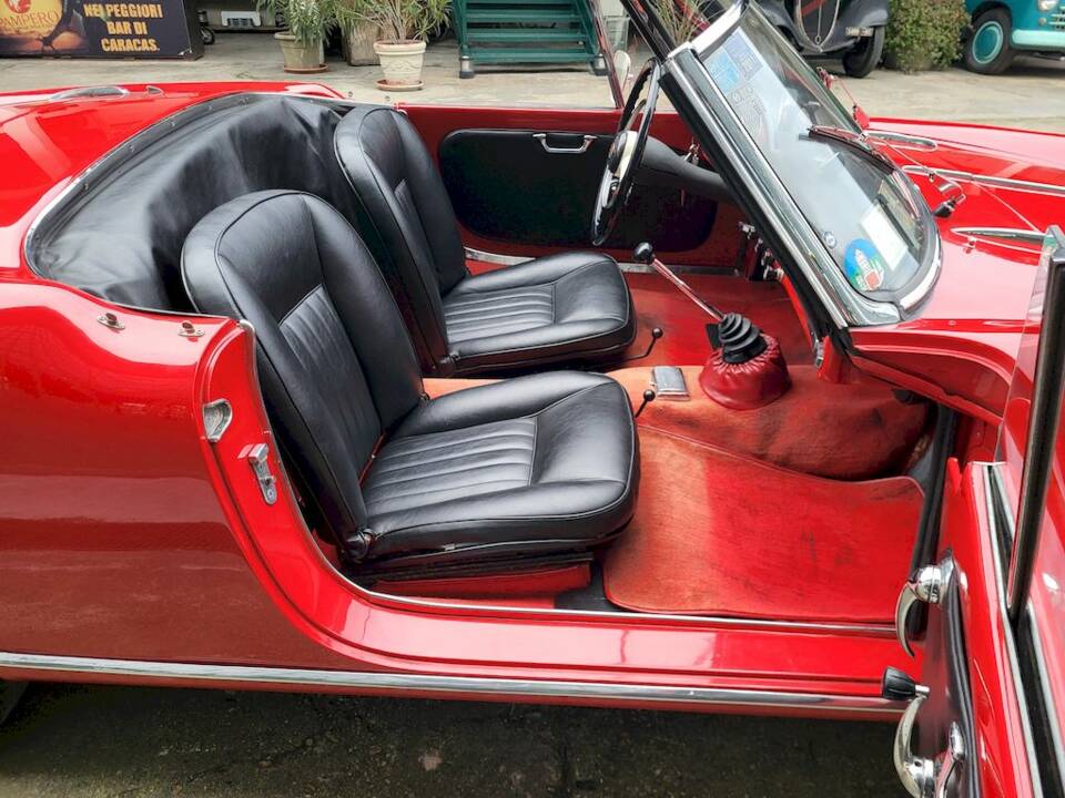 Image 28/65 of Alfa Romeo Giulietta Spider (1962)