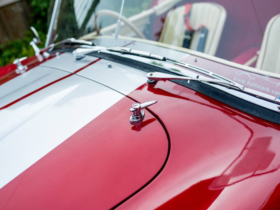 Bild 7/50 von Dax Cobra (1976)