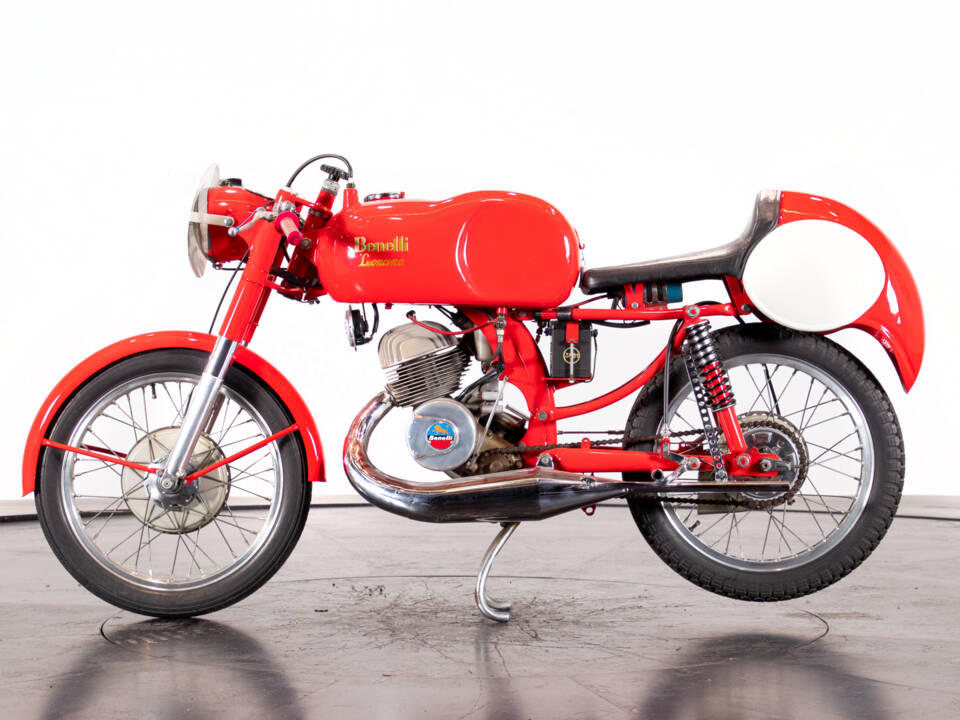 Bild 1/15 von Benelli DUMMY (1954)