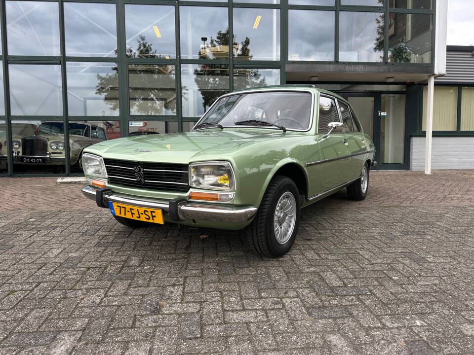 Image 14/80 of Peugeot 504 TI (1976)