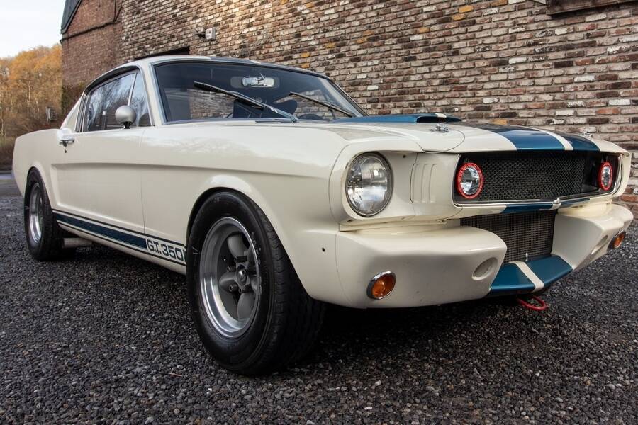 Afbeelding 10/48 van Ford Shelby GT 350 (1965)