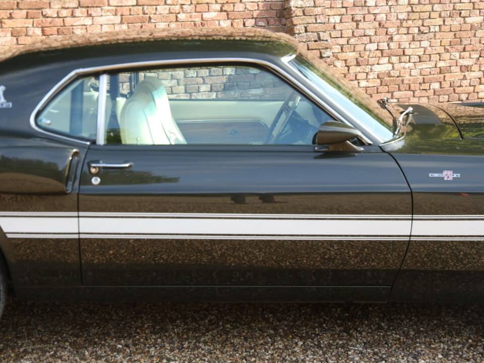 Image 34/50 of Ford Shelby GT 500 (1969)