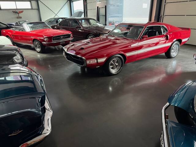 Bild 2/30 von Ford Shelby GT 350 (1970)