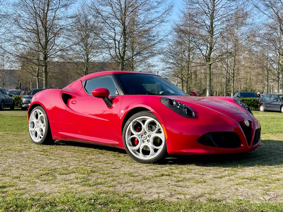 Image 18/18 of Alfa Romeo 4C (2015)