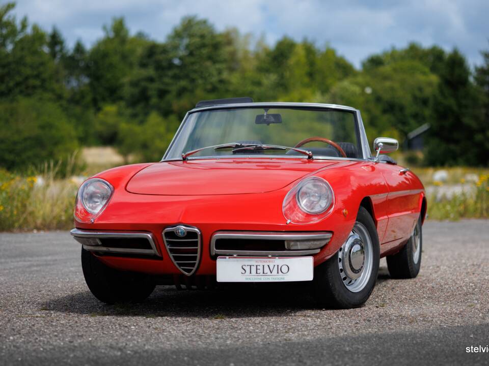 Image 2/44 of Alfa Romeo 1750 Spider Veloce (1969)