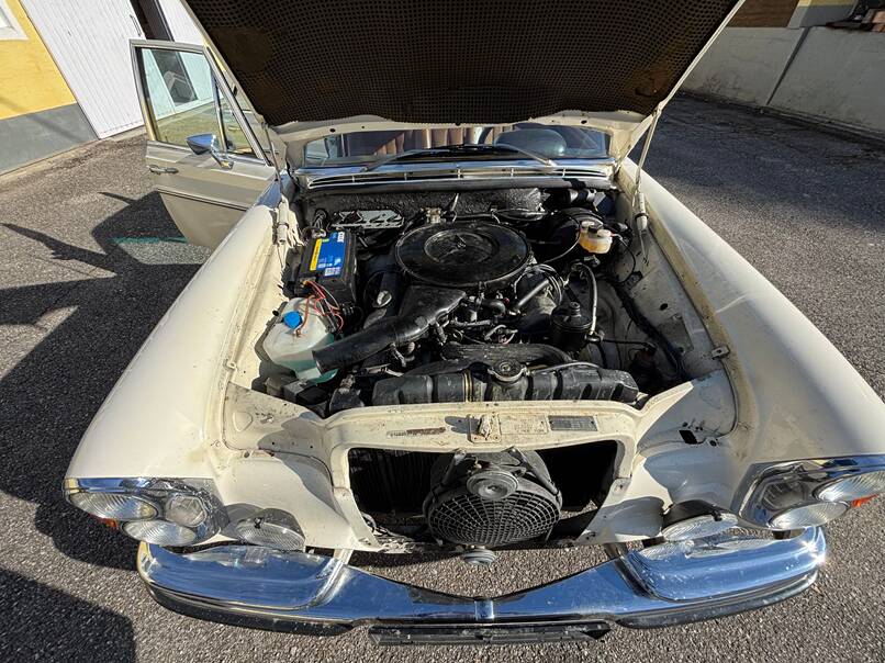 Image 8/8 of Mercedes-Benz 280 SE 3,5 (1972)