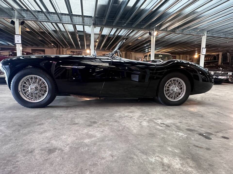 Immagine 25/28 di Austin-Healey 100/4 (BN1) (1955)