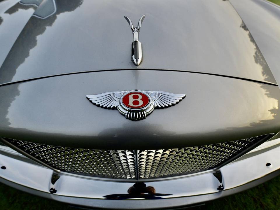 Afbeelding 38/50 van Bentley Arnage Red Label (2002)
