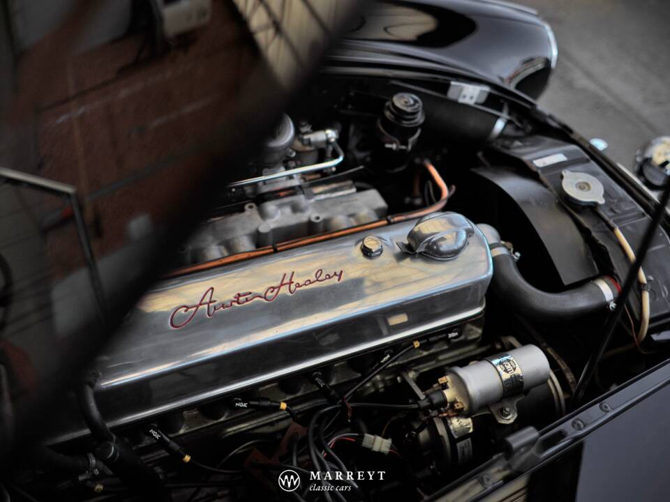 Immagine 20/68 di Austin-Healey 3000 Mk I (BT7) (1959)