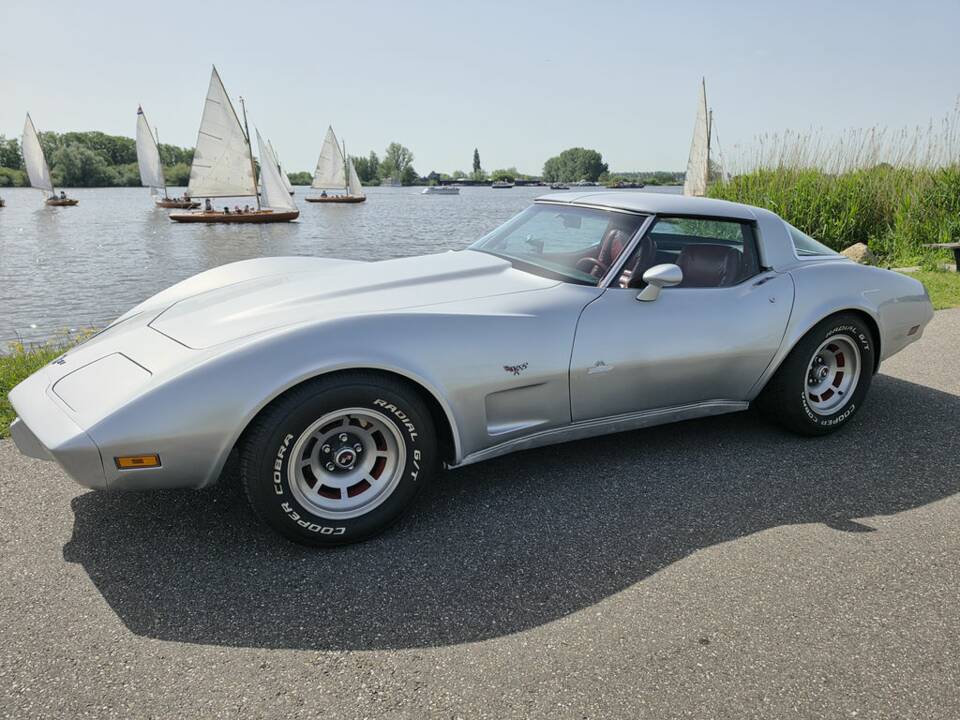 Afbeelding 5/8 van Chevrolet Corvette Sting Ray (1979)
