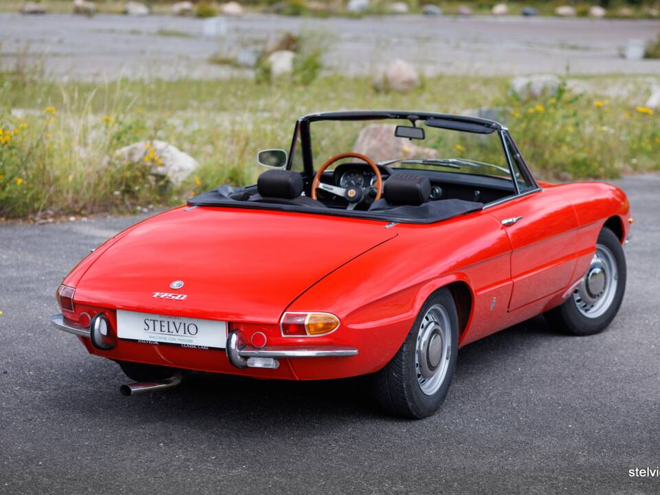 Image 14/44 of Alfa Romeo 1750 Spider Veloce (1969)
