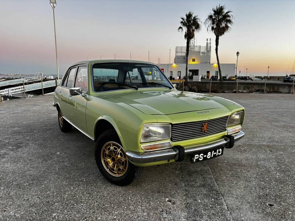 Image 1/55 de Peugeot 504 GL (1979)