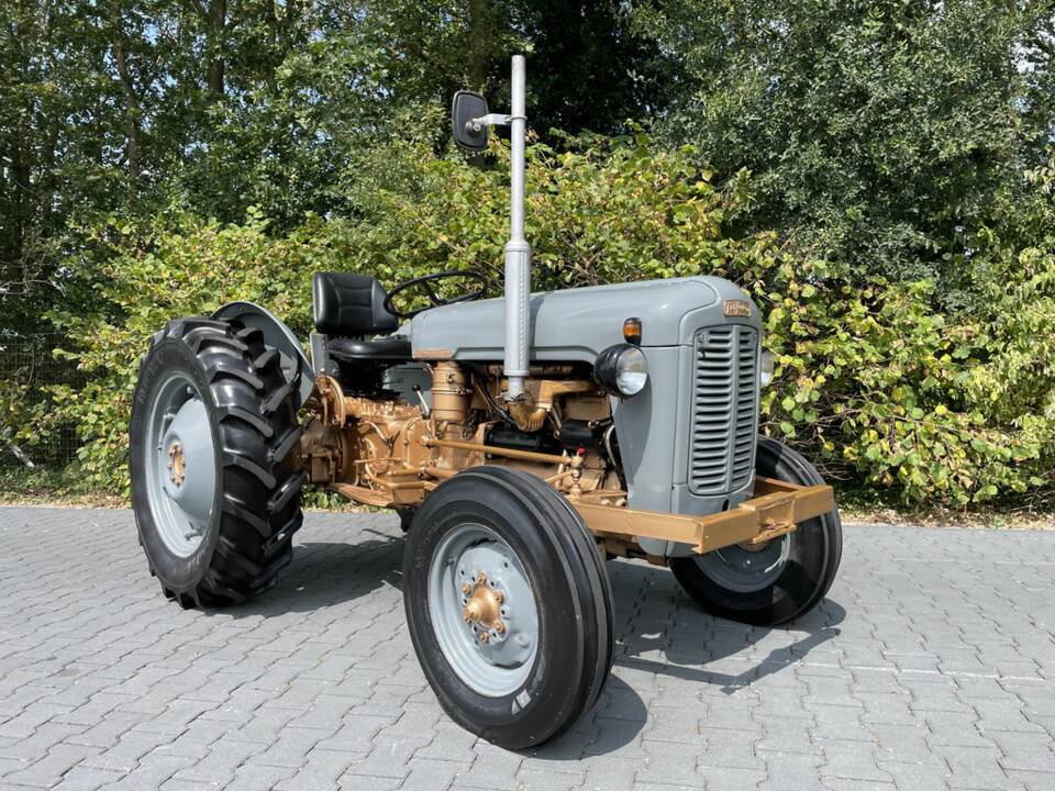 Image 1/8 of Massey-Ferguson MF 35 (1957)