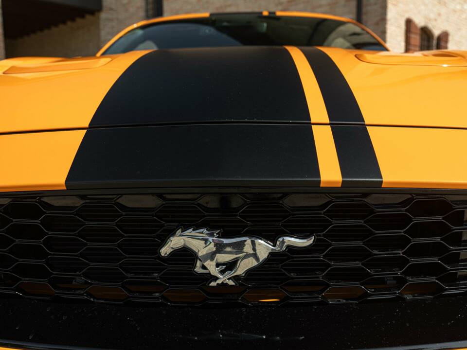Bild 10/50 von Ford Mustang 2.3 Ecoboost (2019)