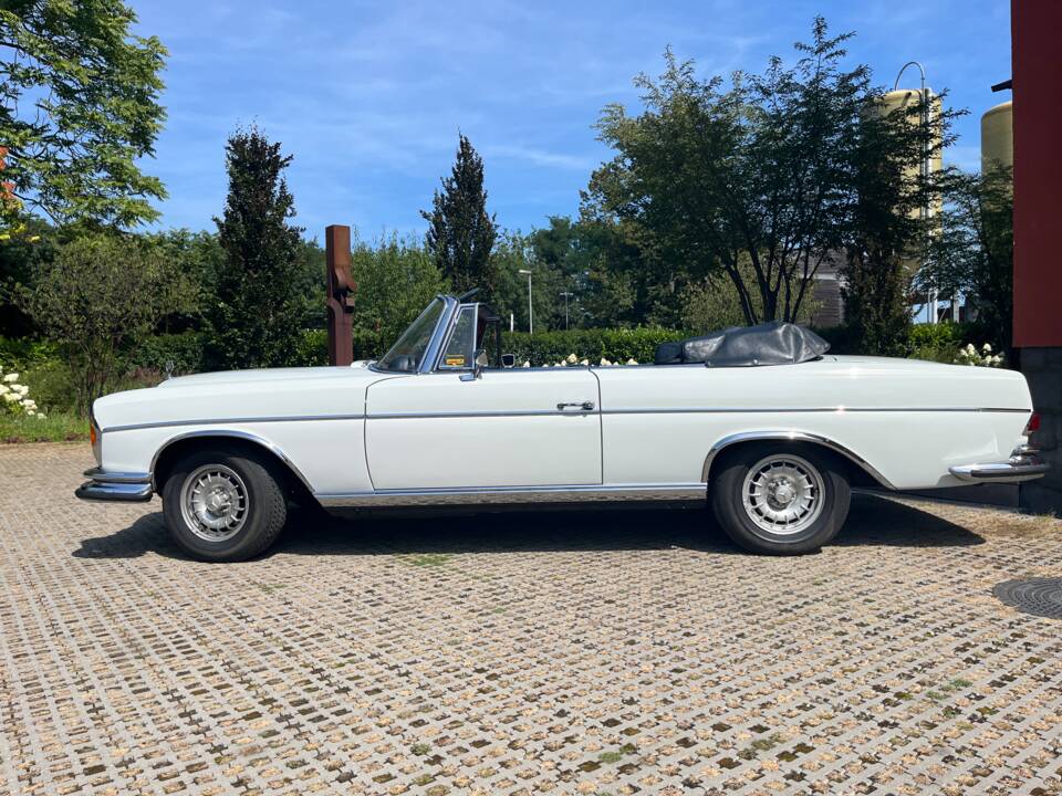 Bild 12/29 von Mercedes-Benz 280 SE (1968)