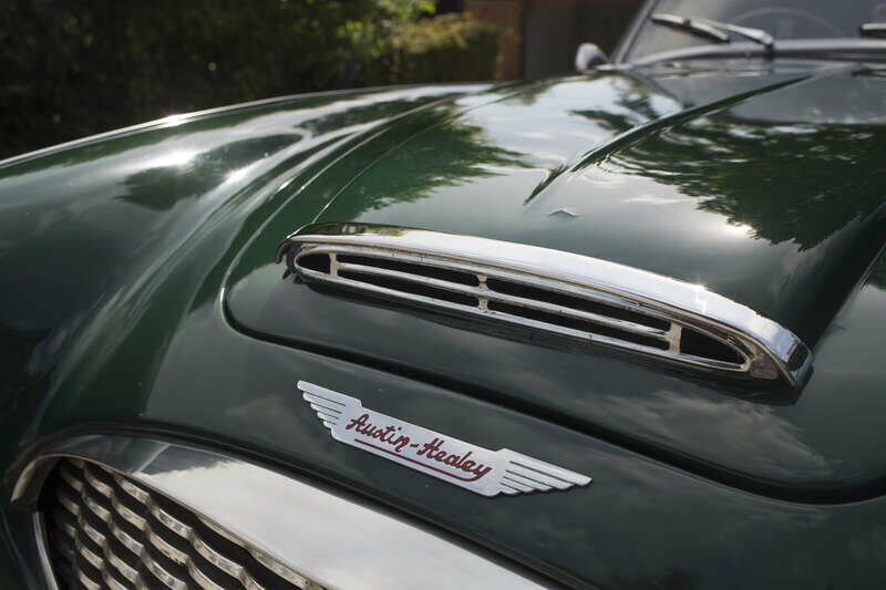 Immagine 46/50 di Austin-Healey 100&#x2F;6 (BN4) (1956)