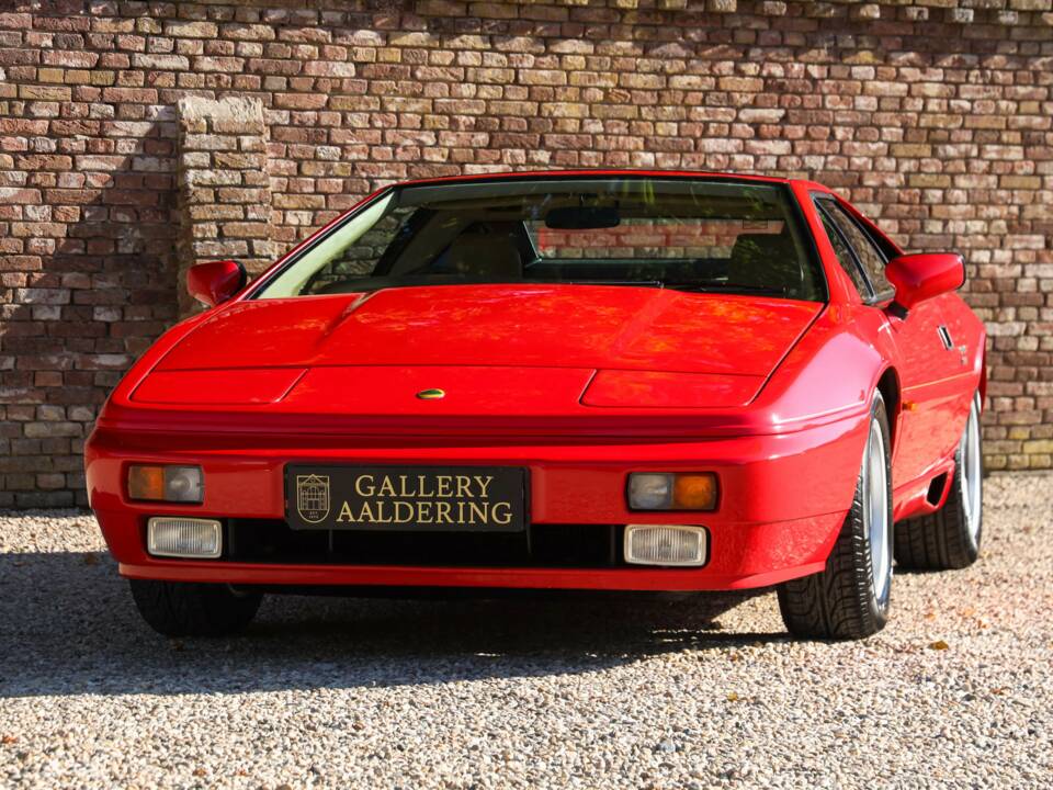 Image 10/50 of Lotus Esprit SE (1992)