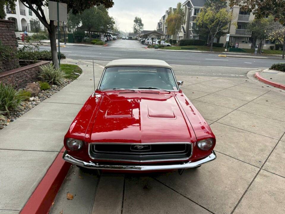 Image 12/50 of Ford Mustang 200 (1968)