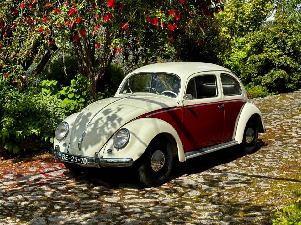 Image 5/8 of Volkswagen Beetle 1200 Standard &quot;Oval&quot; (1956)