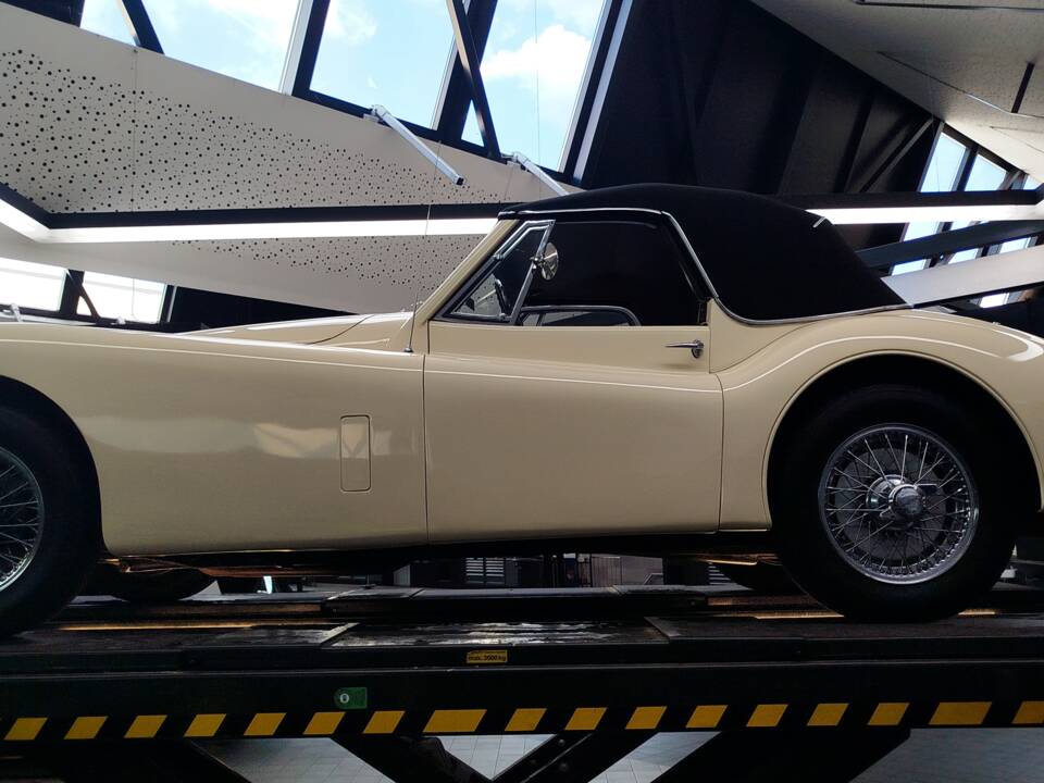 Immagine 20/74 di Jaguar XK 140 SE DHC (1955)