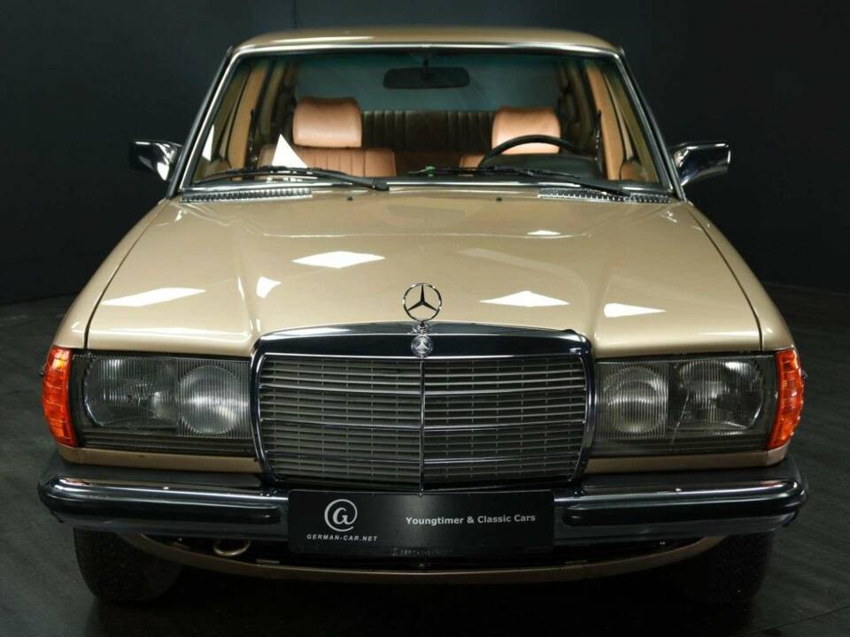Bild 11/49 von Mercedes-Benz 250 lang (1985)