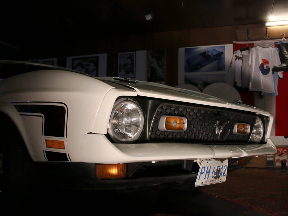 Immagine 8/41 di Ford Mustang Mach 1 (1972)