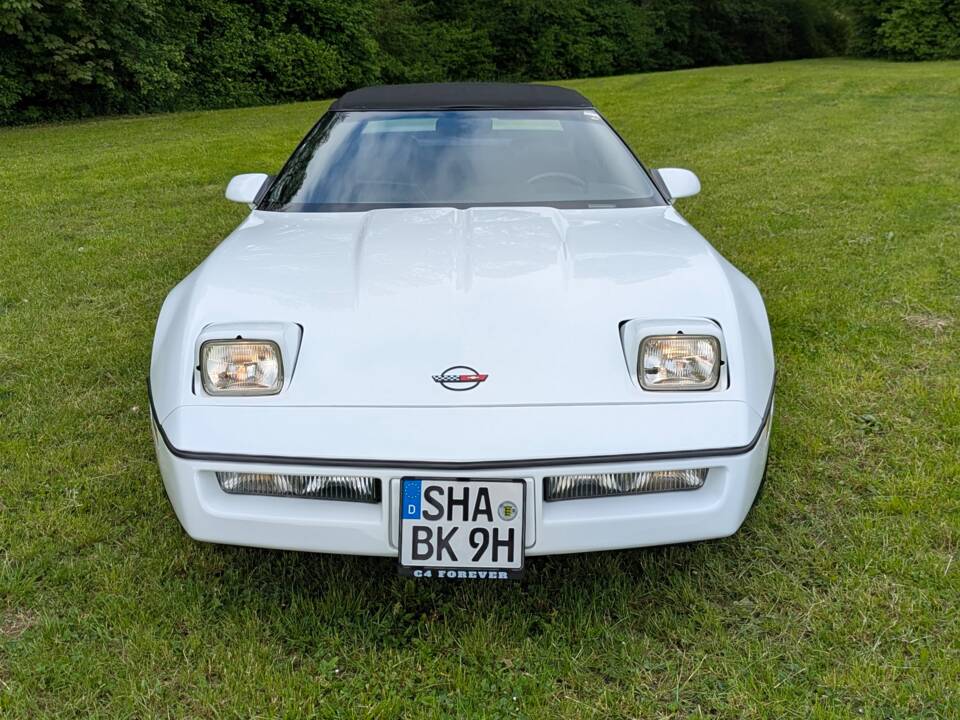Bild 3/35 von Chevrolet Corvette Convertible (1990)