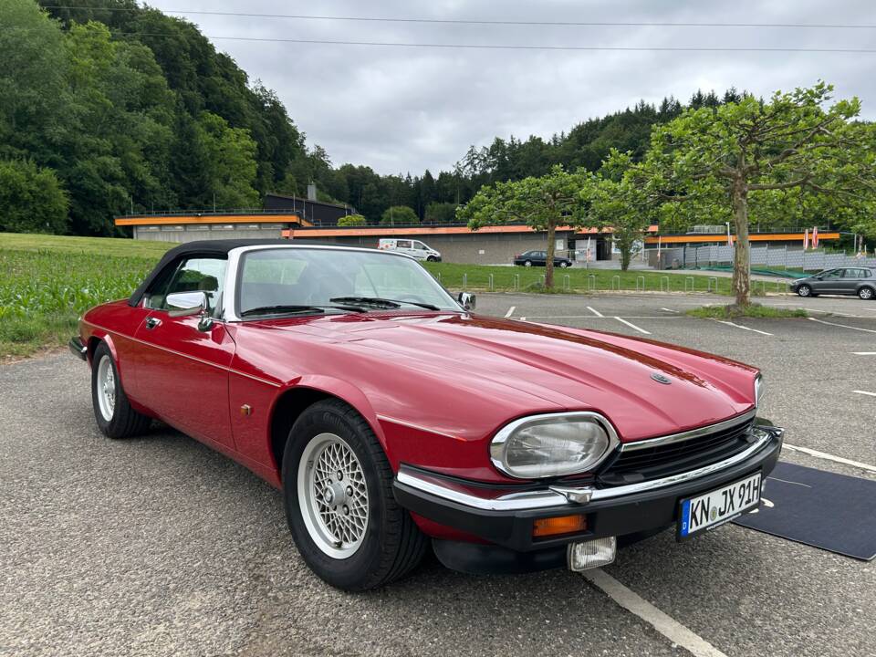 Image 21/40 of Jaguar XJS 5.3 V12 (1991)