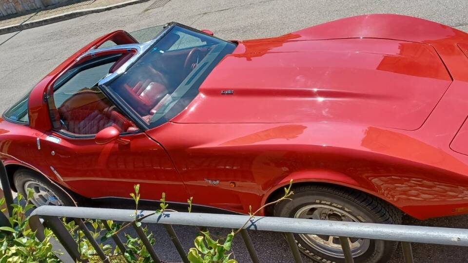 Image 4/12 of Chevrolet Corvette 25th Anniversary (1978)