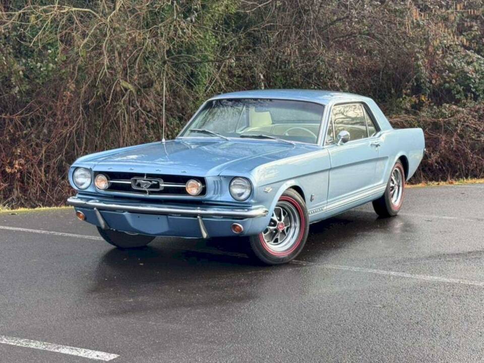 Immagine 17/50 di Ford Mustang 289 (1966)