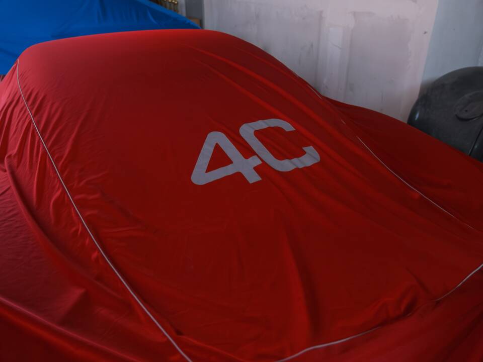 Imagen 67/67 de Alfa Romeo 4C (2015)