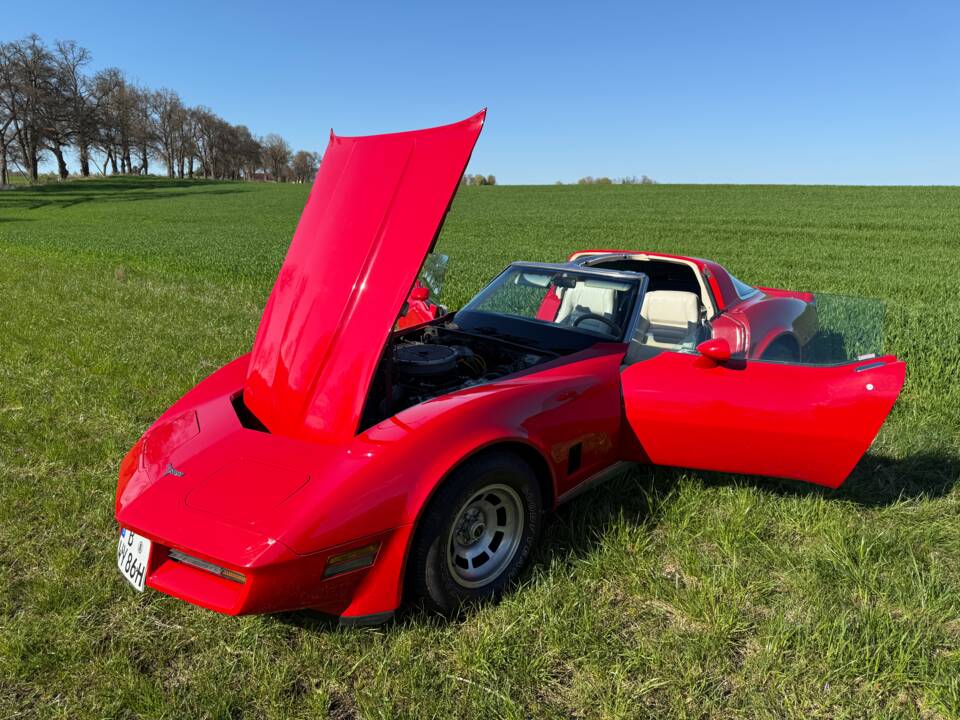 Image 14/20 of Chevrolet Corvette Sting Ray (1980)